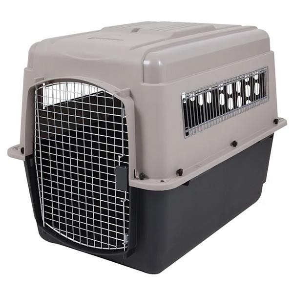 kennel