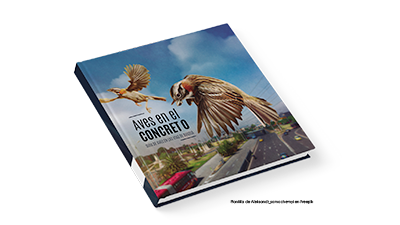Aves en el concreto: Guía de aves en las vías de Bogotá