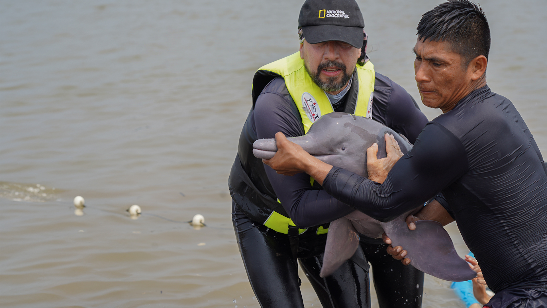 Evaluacion-estado-salud-delfines-rosados-2024-ppal
