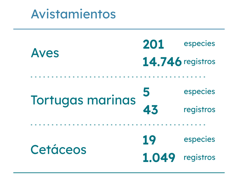 grafico-cifras-avistamientos-total-OFM-historico